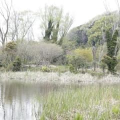taka様専用のサムネイル