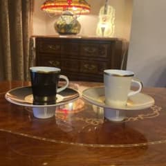 レイノーリモージュ カップ&ソーサー ガラ GALA ペア レア デミタス