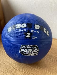 LITTLE PAW SPORTS ドッジボール 公式サイズ