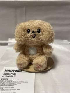 MINITEEN MAGNET PLUSH KEYRING ドアDOA ドギョム - メルカリ