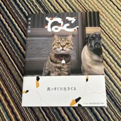 ねこ 岩合光昭 写真集のサムネイル
