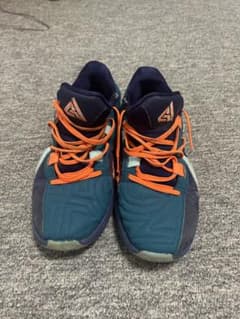 Nike バッシュ　ズームフリーク5 26cmのサムネイル