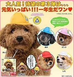 moca様専用のサムネイル