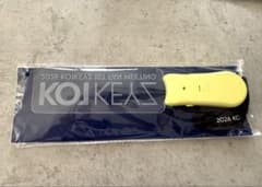 コイキーズ KO1KEYZ ペンライト プレートライトのサムネイル
