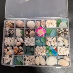 ハンドメイド材料☆貝殻☆シーグラス☆サンゴ☆クラフトセットのサムネイル