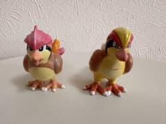 포켓몬 몽콜레 초기 비둘기 피조트