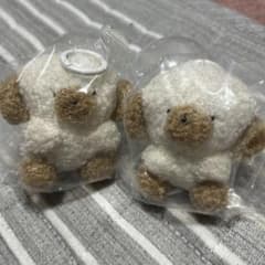 じょせまる　らてのサムネイル