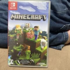 マイクラソフトのサムネイル