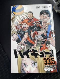 ハイキュー ゴミ捨て場の決戦 映画 特典 漫画 33.5巻のサムネイル