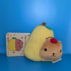 카피바라씨 과일 동전 퍼스 [카피바라씨]