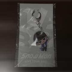 新品未開封】渡辺翔太 すのチル アクキー アクリルキーホルダー b1