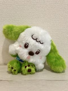 NHKいないいないばあっ　ワンワン&ぽぅぽのぬいぐるみ　おでかけコスチューム