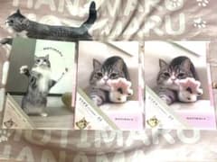 もちまる日記　ダイソーコラボ　A4クリアホルダー　3枚セットのサムネイル