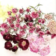 値下げ中極小ミニバラ✩.*˚ピンク系約60~70輪他ドライフラワーセット、レジンのサムネイル