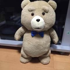 テッド ぬいぐるみのサムネイル