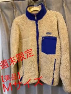 patagonia パタゴニア レトロX サイズM【美品】のサムネイル