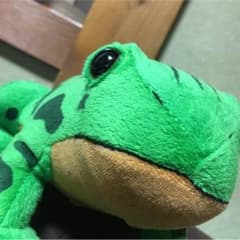 ジョジョの奇妙な冒険のカエルのサムネイル