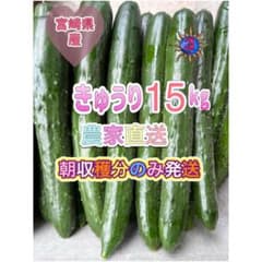 土日発送予定 きゅうり 20キロ 農家直送 新鮮野菜 キュウリ 胡瓜 宮崎県産 きゅうり 15キロ 農家直送 新鮮野菜 キュウリ 胡瓜 宮崎県産 - メルカリ