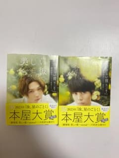 美しい彼小説2.3のサムネイル