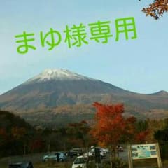 まゆ様専用ページのサムネイル
