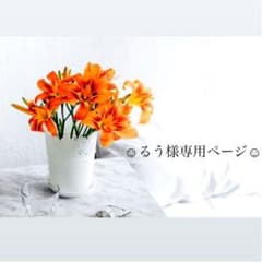 ☺︎るう様専用ページ☺︎のサムネイル