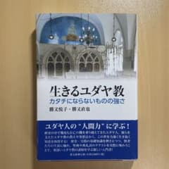 生きるユダヤ教 : カタチにならないものの強さのサムネイル