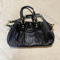 コーチ アシュレイ レザー サッチェル 極美品】COACH アシュレイ パイソン レザー サッチェル 2WAY 黒 - メルカリ