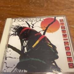 Misty in Roots - Forward (CD)輸入盤のサムネイル
