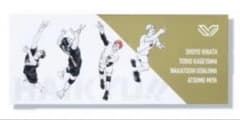 ハイキュー!! SVリーグ コラボグッズ グラフィックフルカラータオル ハイキュー!! SVリーグ コラボグッズ グラフィックフルカラータオル
