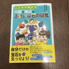 こどもが探せる川原や海辺のきれいな石の図鑑のサムネイル
