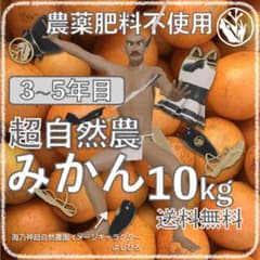 自然農みかん10kg 3〜5年目 農薬肥料不使用 自然農法 海乃神自然農園 自然農みかん10kg 3〜5年目 農薬肥料不使用 自然農法 海乃神自然農園