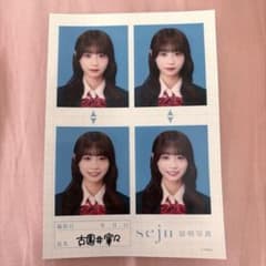 古園井寧々 seju 証明写真のサムネイル