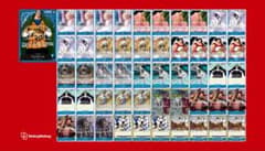 優勝構築  ワンピースカード  クロコダイル 構築済みデッキのサムネイル