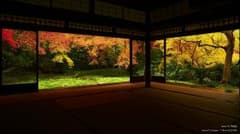 しょ様専用のサムネイル