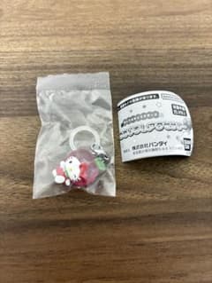 サンリオ　くだもの　めじるしアクセサリー　　キテイのサムネイル