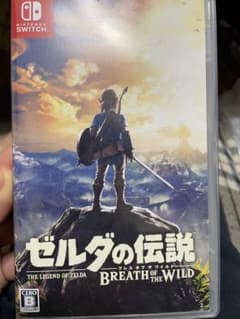 ゼルダの伝説 ブレス ワイルドのサムネイル
