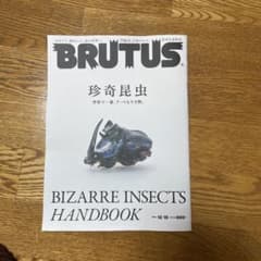 BRUTUS 珍奇昆虫  2021 12/15のサムネイル