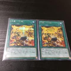 炎舞-天璣 シク 2枚セットのサムネイル