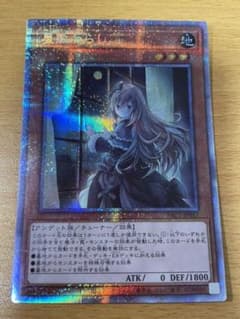 ここまる様専用のサムネイル