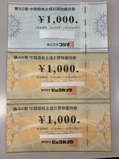 ビックカメラ コジマ 株主優待 3000円分(1000円×3枚)のサムネイル