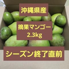 沖縄県産 摘果マンゴー 青マンゴー 2.3kg 常温発送 - メルカリ