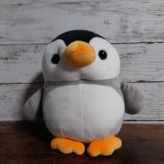 m97611524988_1.jpg?1712740225