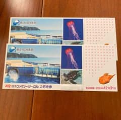 新江ノ島水族館　招待券２枚のサムネイル
