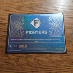 銀勝負師 日本ハムファイターズ　ドリームオーダー チャレンジカップ 銀勝負師 日本ハムファイターズ ドリームオーダー チャレンジカップ