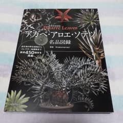 アガベ・アロエ・ソテツ名品図録　！のサムネイル