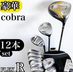 豪華‼】 cobra コブラ メンズ ゴルフクラブ 初心者セット 12本 R 