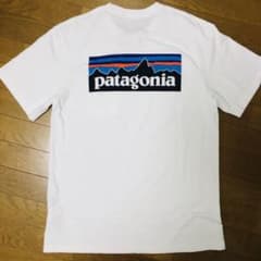 人気 patagonia パタゴニア Tシャツ 本日のみ4400円対応のサムネイル