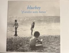 blueboy if wishes were horses レコード