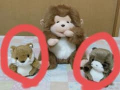 봉제 인형 세트 조이 풀 메이트 죽순 너구리 여우