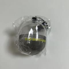 サンリオシークレットカプセルケース バッドばつ丸 即購入OK 新品未使用